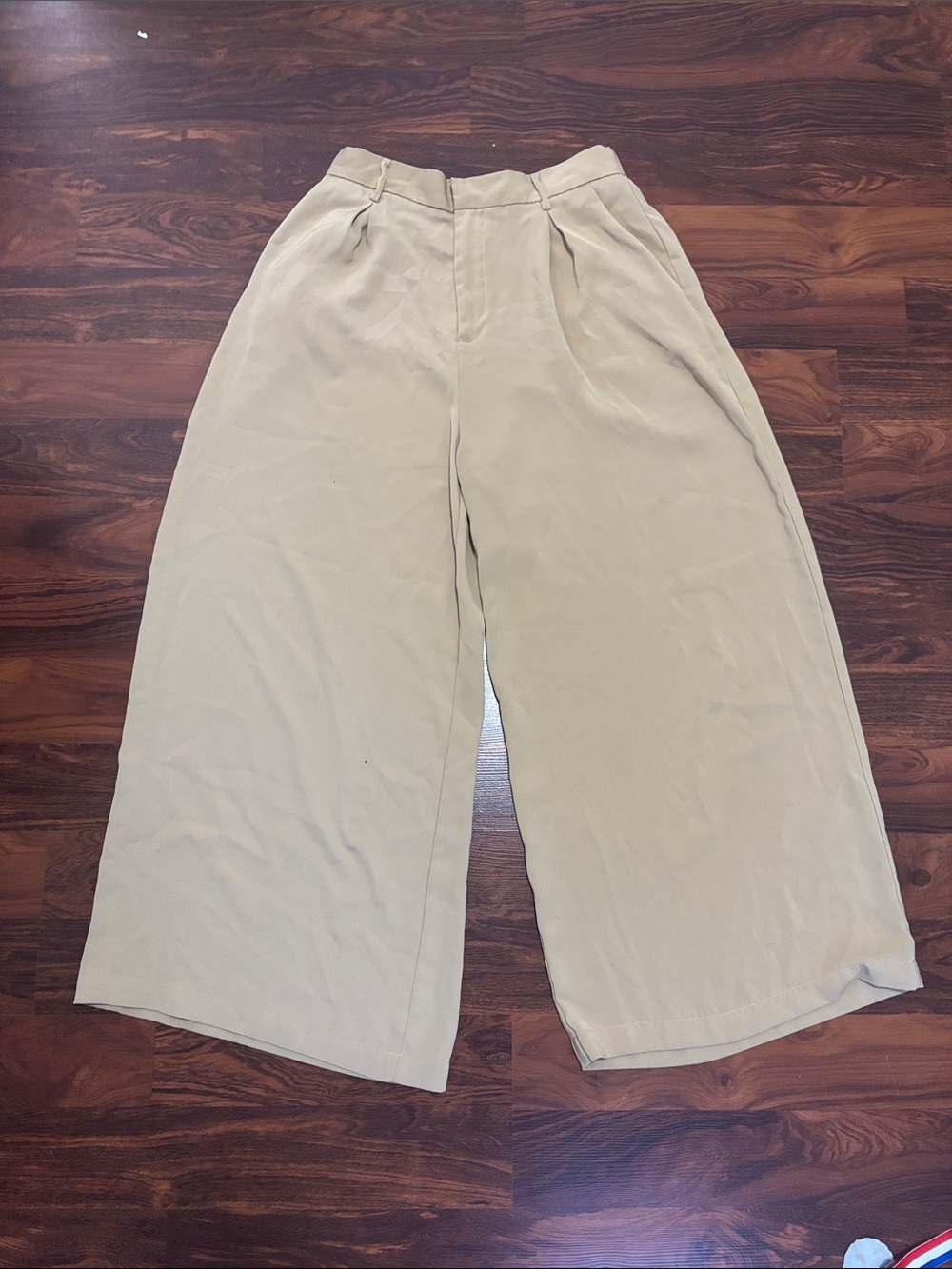 Wide Leg Pleated Pants - Light Beige